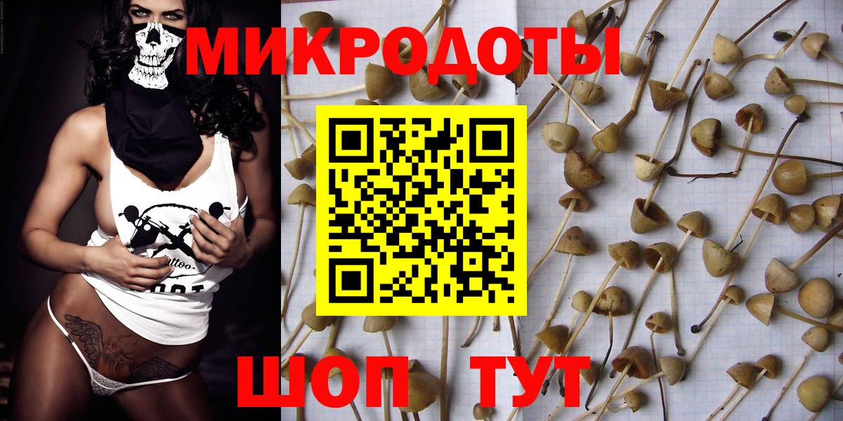 Псилоцибиновые грибы Cubensis  Вход с VPN  Мирный 